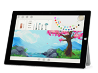 红寺堡Surface 无法开启、Windows 无法启动或电池无法充电